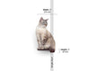 Load image into Gallery viewer, Cat Climbing Shelf, brown wooden cat shelf with a single-stud wall mount.
