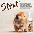 Load image into Gallery viewer, Strut Dog Cologne for the Ruler of the Kingdom
