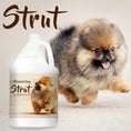 Load image into Gallery viewer, Strut Dog Cologne for the Ruler of the Kingdom
