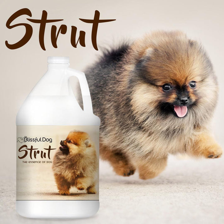 Strut Dog Cologne, view 5
