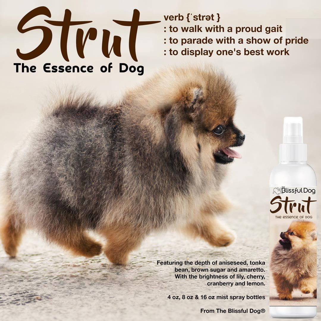 Strut Dog Cologne, view 2