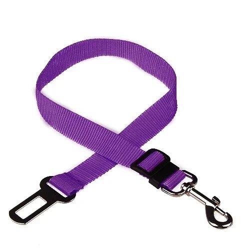 Purple plain-webbing tether