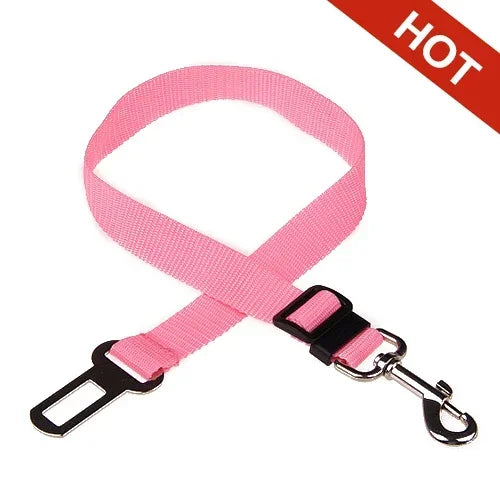 Pink plain-webbing tether on white background