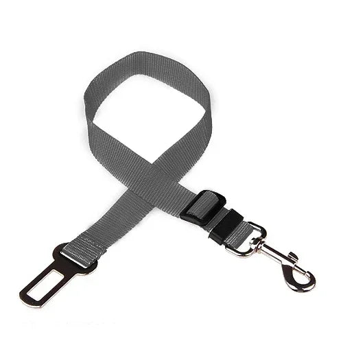 Grey plain-webbing tether