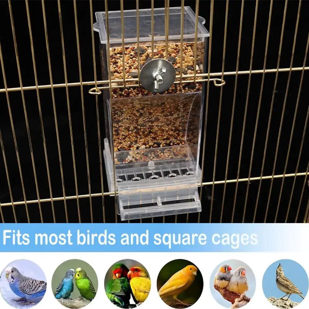 Smart Automatic Bird Feeder With Seed Catcher No Mess Gravity Feeder by Pet Zen