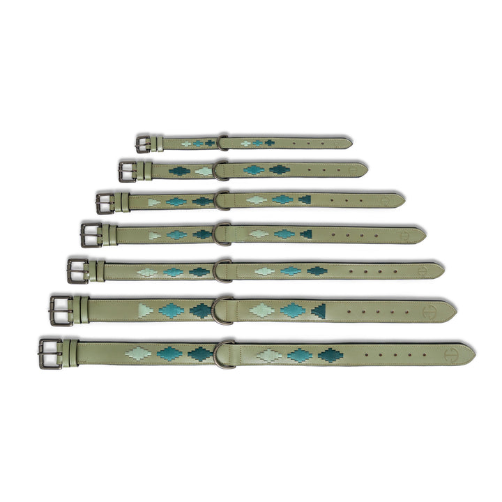 Halter Ego Sea Glass Leather Dog Collar shown in every size, XS to 3XL