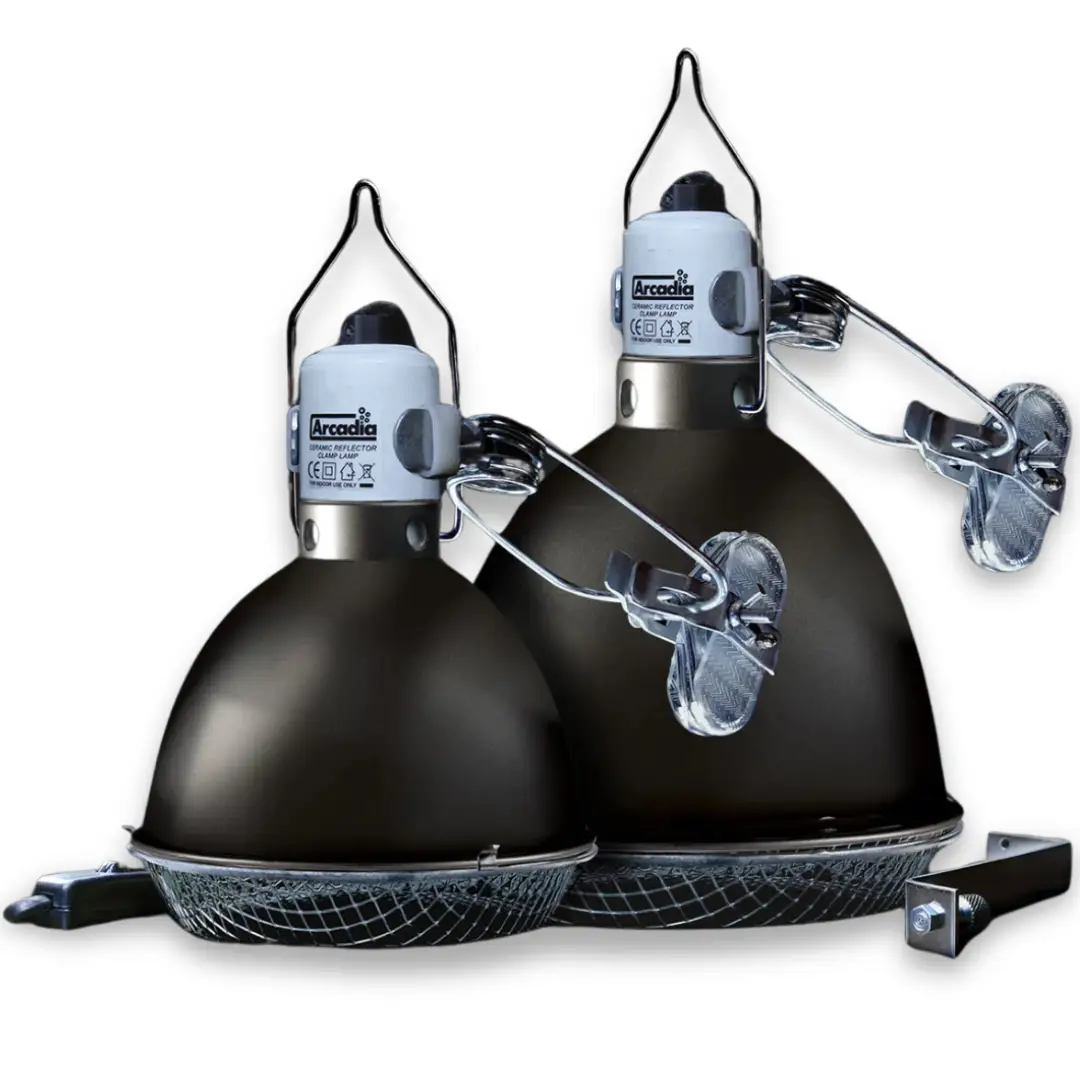 Pair of Arcadia Ceramic Reflector Clamp Lamps, graphite finish, for reptile heating lighting by ReptiChip LLC