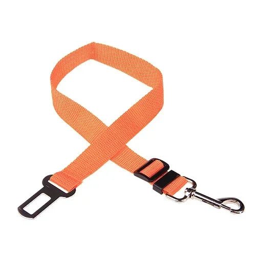 Orange plain-webbing tether