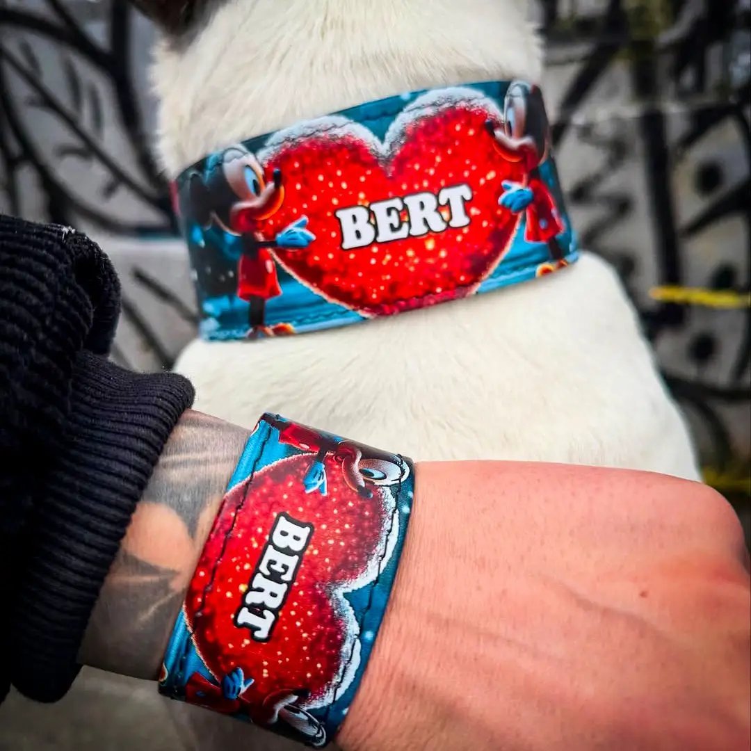 The Mickey Limited SET - Pet Collars & Harnesses from Bestia Dog Gear