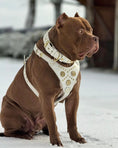 Load image into Gallery viewer, The "Maximus" collar 2.5 inch wide white & gold - Pet Collars & Harnesses from Bestia Dog Gear
