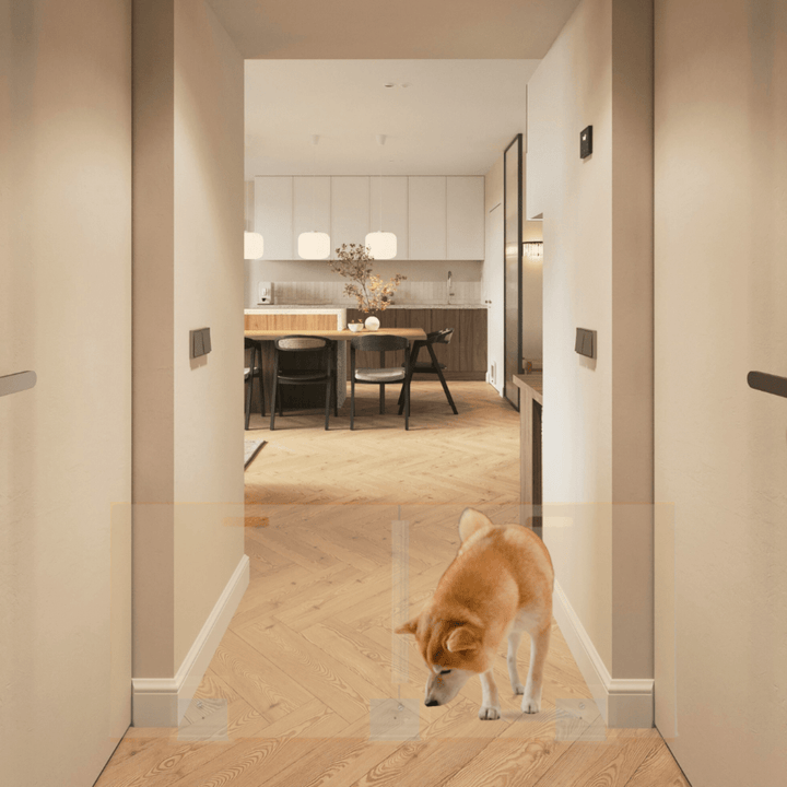 Hiddin Clear Acrylic Panel Pet Gate – Freestanding, 30 in High