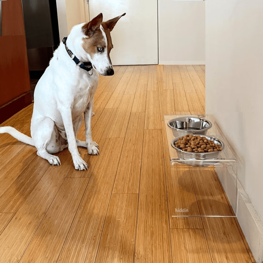 Hiddin Clear Acrylic Double Feeder with Silver Bowls – 12 in High