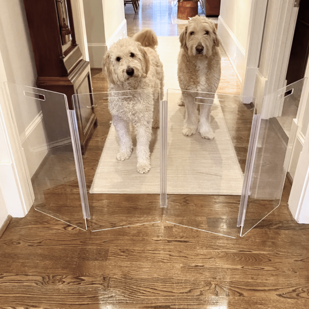 Hiddin Tall Clear Acrylic Zig Zag Pet Gate – Freestanding
