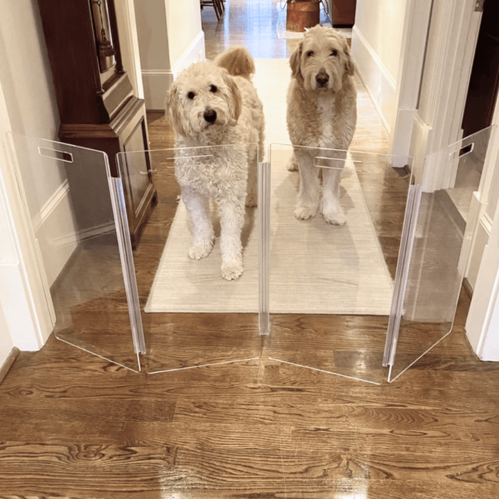 Hiddin Tall Clear Acrylic Zig Zag Pet Gate – Freestanding
