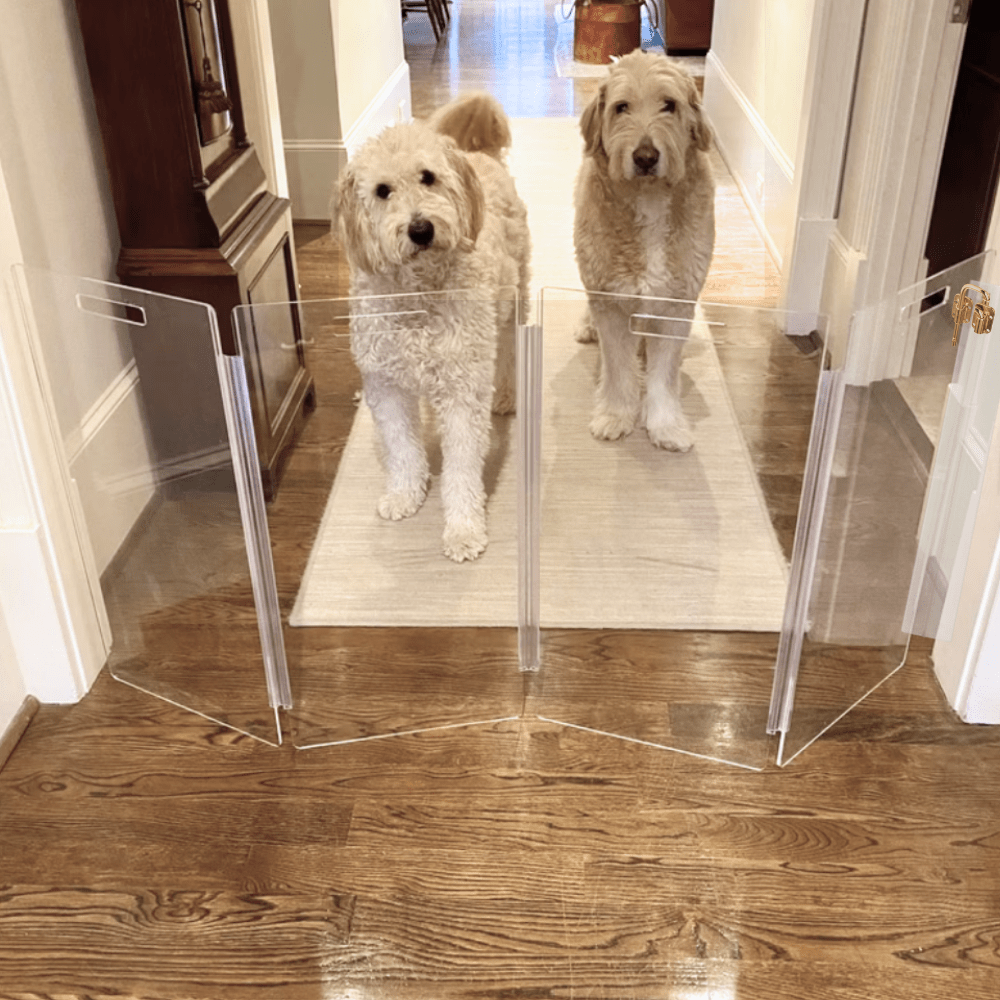 Hiddin Clear Acrylic Wall-Mounted Zig Zag Pet Gate – 30 in High