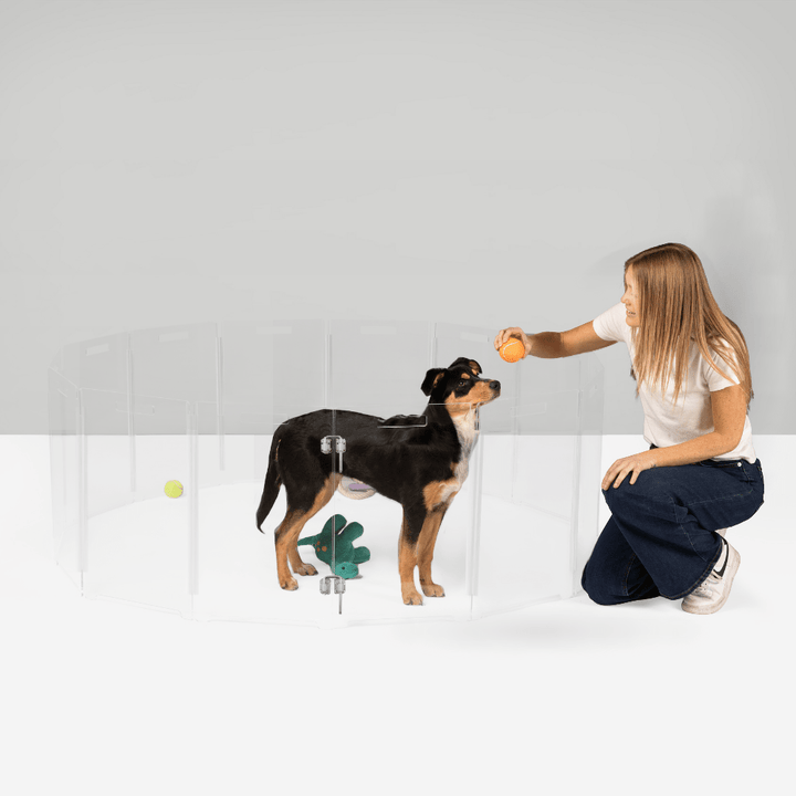 Hiddin Clear Acrylic Round Pet Playpen with Door