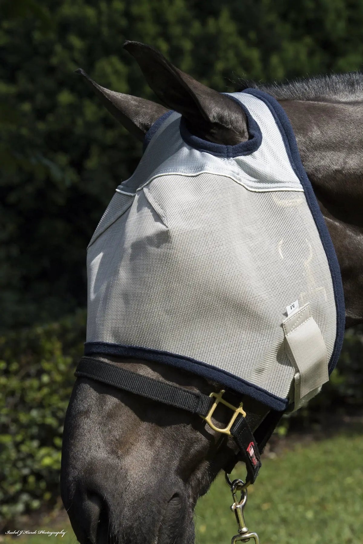 Defender Fly Mask with Reflective Trim by StateLineTack, light gray mesh with navy trim on horse
