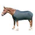 Load image into Gallery viewer, StretchX Full Sheet by StateLineTack, teal Lycra horse blanket
