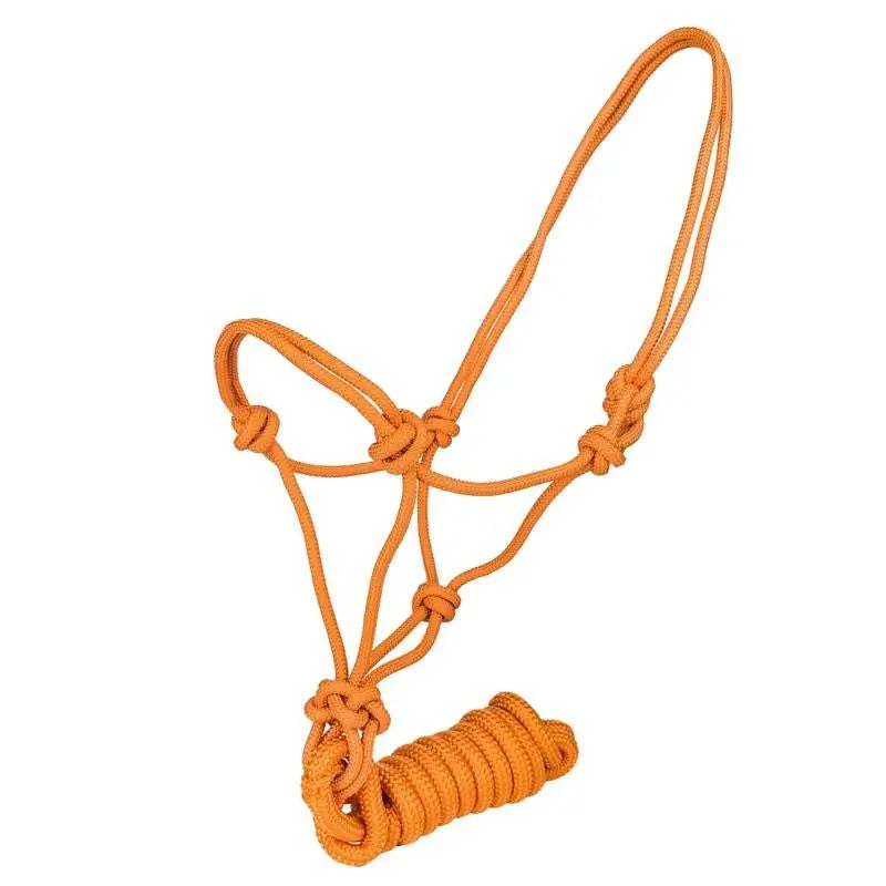 Tabelo Cowboy Rope Halter with Lead in bright orange rope