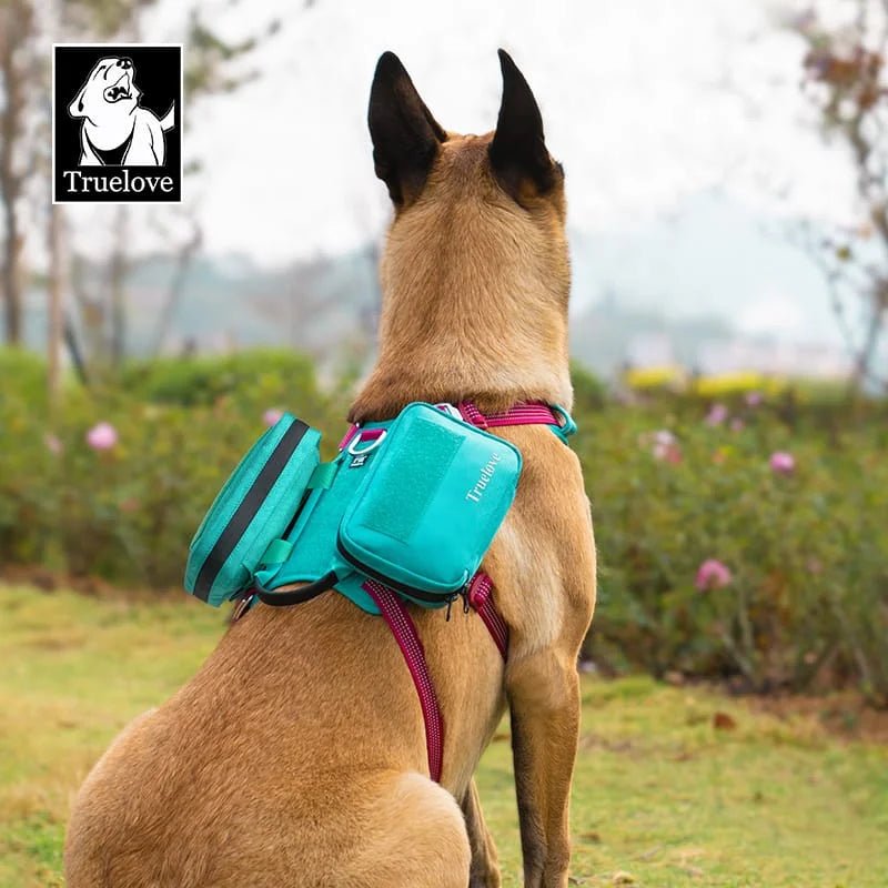 TrueLove Water-Resistant Walking Pouch TLB3011