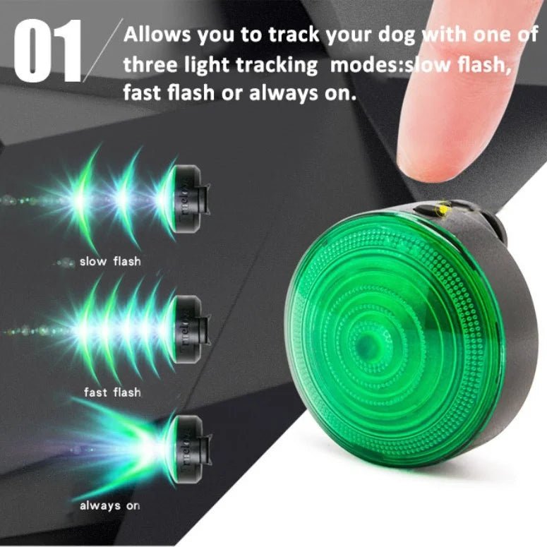TrueLove Clip-On LED Dog Safety Light TLD19101