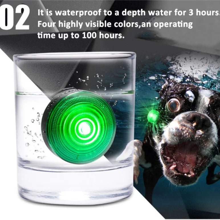 TrueLove Clip-On LED Dog Safety Light TLD19101