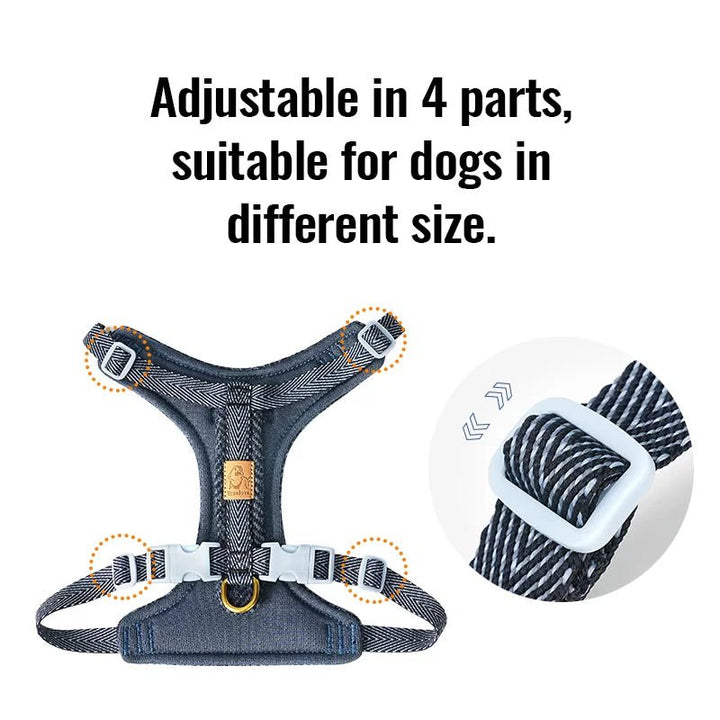 TrueLove Harris Tweed Dog Harness, Leash &amp; Poop Bag Set TLH2912