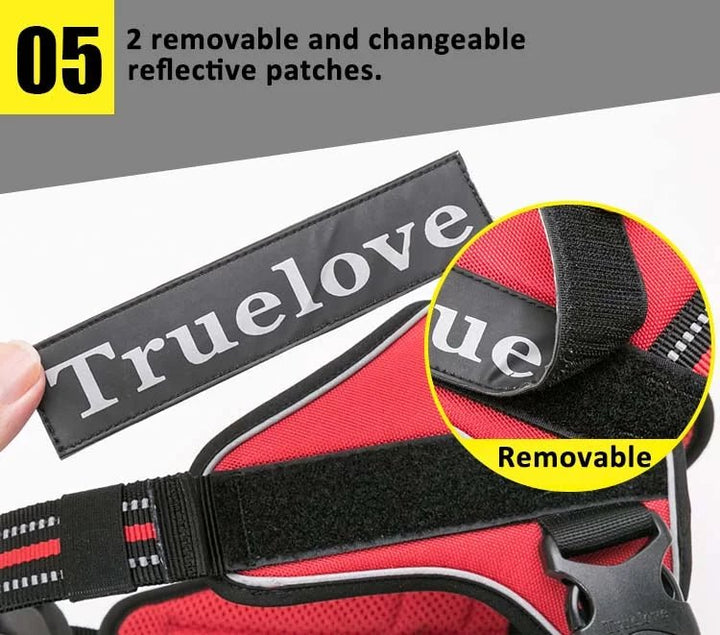 TrueLove Reflective Adventure Dog Harness with Handle TLH5753