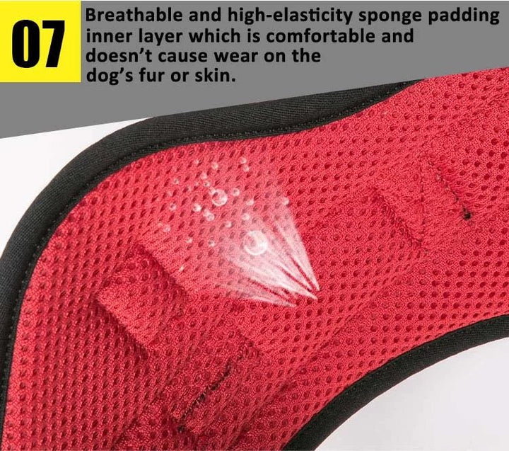 TrueLove Reflective Adventure Dog Harness with Handle TLH5753