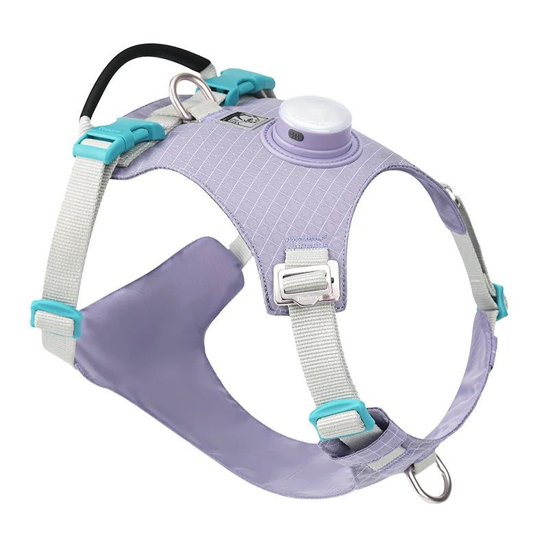 TrueLove LED Light-Up Dog Harness with Tracker Holder TLH6771