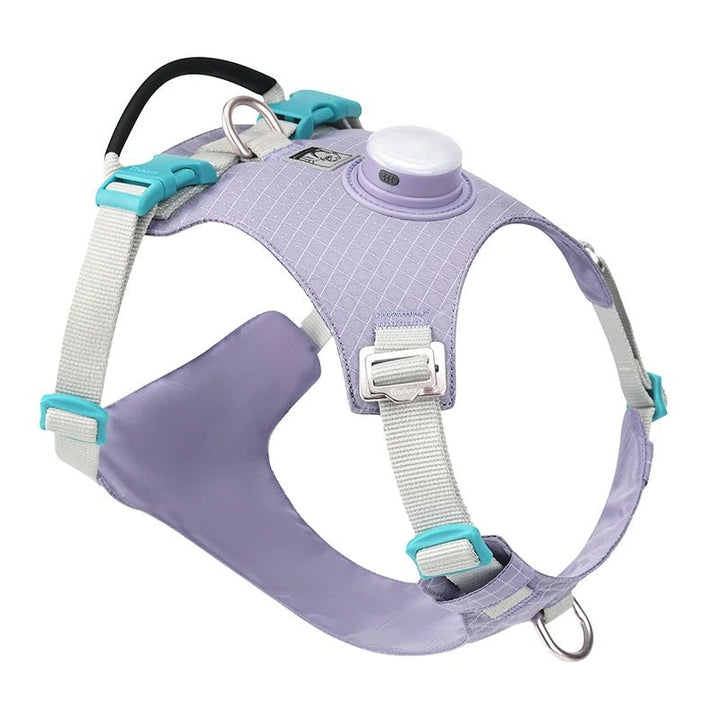 TrueLove LED Light-Up Dog Harness with Tracker Holder TLH6771