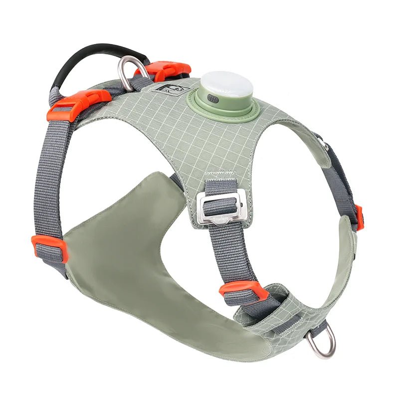 TrueLove LED Light-Up Dog Harness with Tracker Holder TLH6771