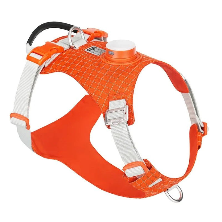 TrueLove LED Light-Up Dog Harness with Tracker Holder TLH6771