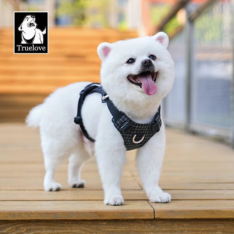 TrueLove LED Light-Up Dog Harness with Tracker Holder TLH6771