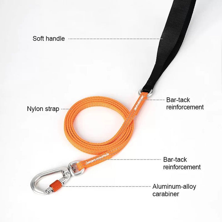 TrueLove Ultra-Light Reflective Dog Leash TLL2772