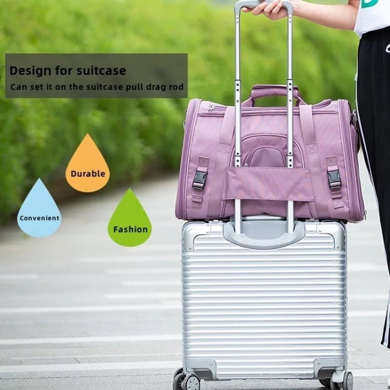 TrueLove Foldable Soft-Sided Pet Carrier TLX3971