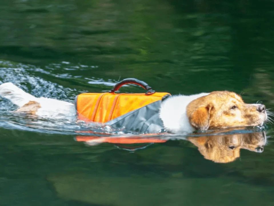 TrueLove Reflective Dog Life Jacket with Rescue Handle TLY1951