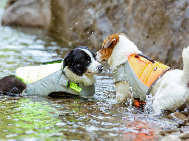 TrueLove Reflective Dog Life Jacket with Rescue Handle TLY1951