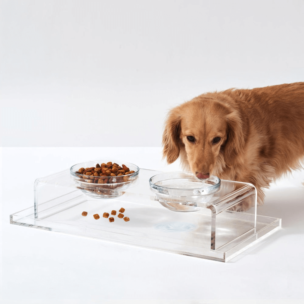 Hiddin Clear Acrylic Feeder Overflow Tray