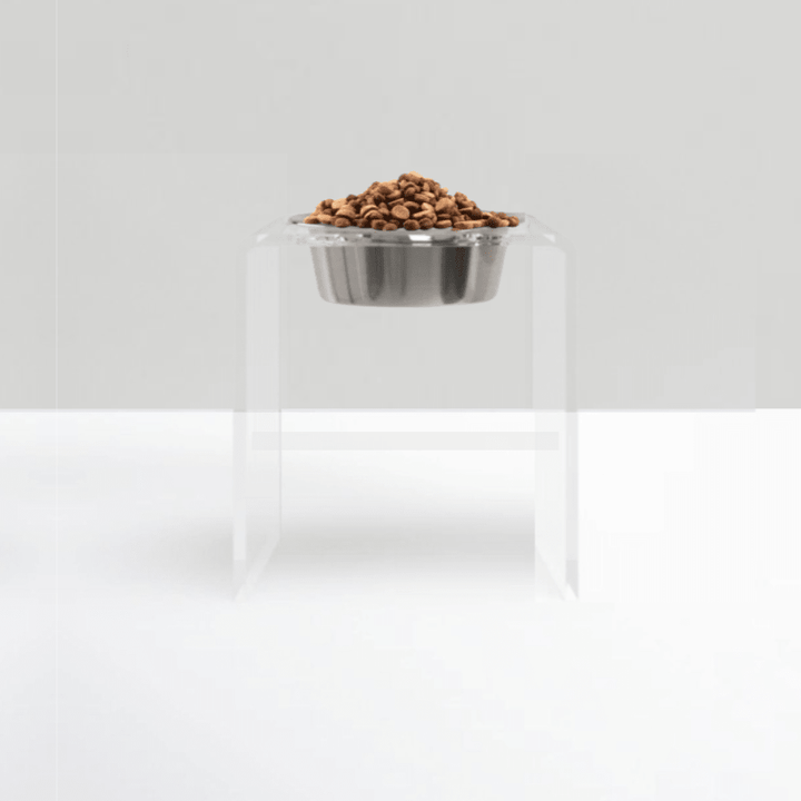 Hiddin Clear Acrylic Single Feeder with Silver Bowl – 12 in High