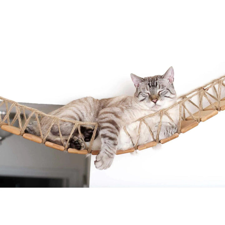 Cat Wall Bridge and Shelf Set by Catastrophic Creations, natural wood planks with rope bridge for cats