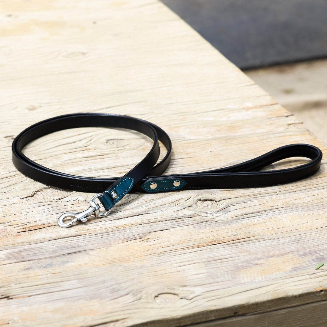 Matching Halter Ego Metallic Teal Leather Dog Leash