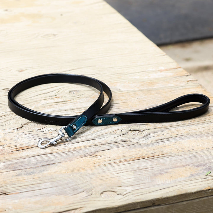Matching Halter Ego Metallic Teal Leather Dog Leash
