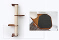 Charger l'image dans la visionneuse de la galerie, Cat scratching post: wall-mounted sisal-wrapped climbing pole with wooden shelves by Catastrophic Creations
