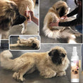 Load image into Gallery viewer, Bye Bye Boo Boo™ Dog Spray
