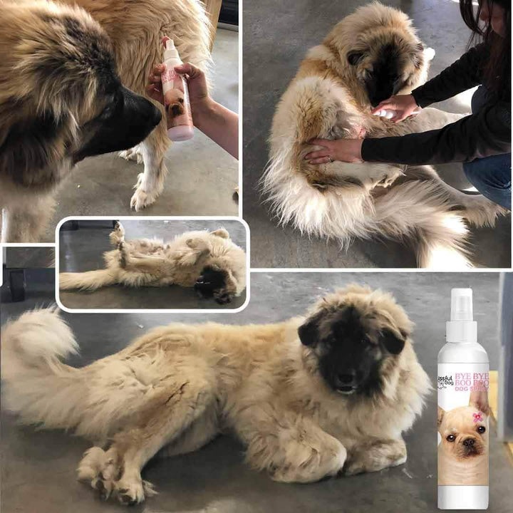 Bye Bye Boo Boo Dog Spray, view 7