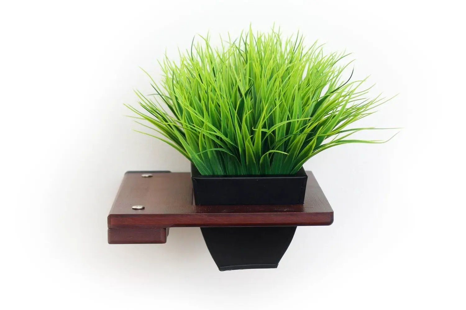 Cat Plant Stand for Wall by Catastrophic Creations; brown wood shelf with black planter and green faux grass.