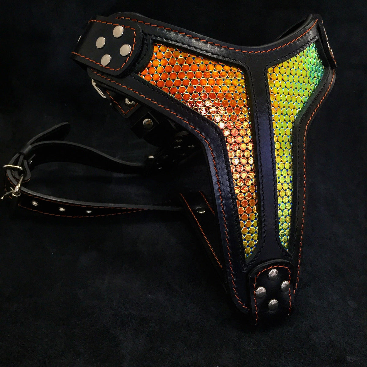 Bestia D'Albertis black and iridescent leather dog harness