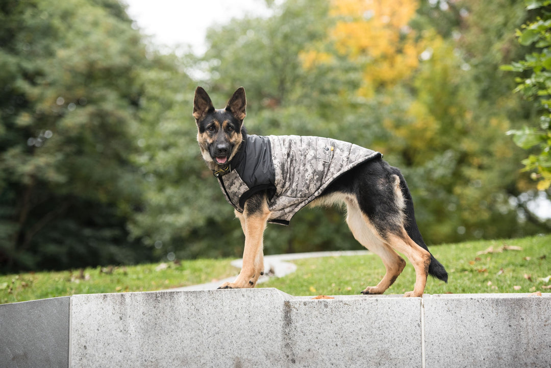 GF Pet US Army Dog Jacket, Camo
