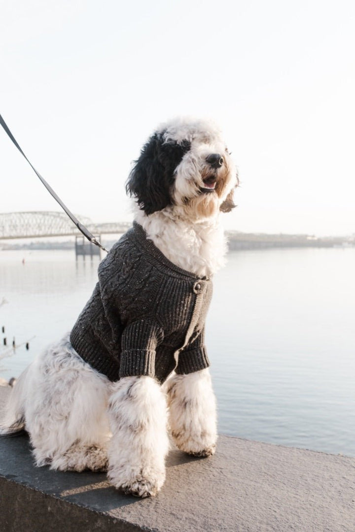 Bespoke Paws Brooklyn Cashmere Dog Cardigan, Charcoal